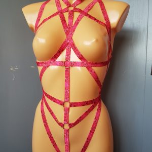 Strapping Pink and Gold Body Harness Velveteena Leigh 01